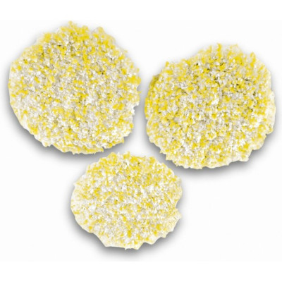 Пады KARCHER 2.863-198 для полировки камня, линолеума ПВХ к полотеру FP 304